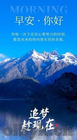 2017伦理免费观看-2017伦理剧的免费观影之旅，一场关于道德与选择的深思