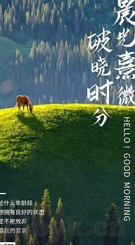 91大神制片麻豆-91大神制片麻豆背后的网络生态与风险