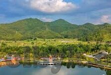 91麻豆成人在线-成人领域科普文章，91麻豆成人在线的误导与网络素养的重要性