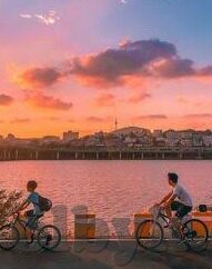 麻豆传媒映画看谢谢-迈向成人文化的新探索，全景剖析麻豆传媒映画