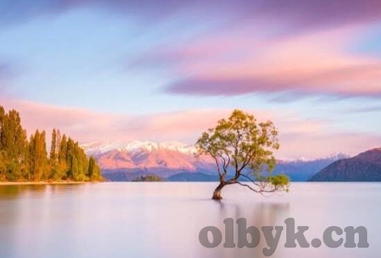 日韩岛国av在线-日韩岛国文化与影视探索，多元视角下的文化交流