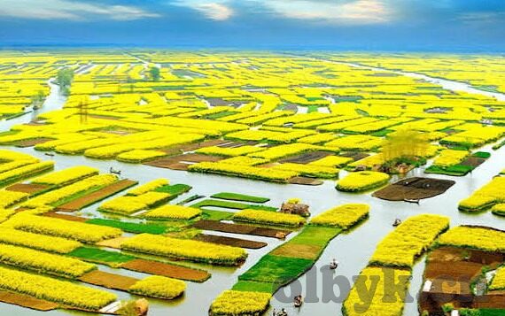 糖心app官方下载安卓-探析糖心app安卓下载的便捷之路