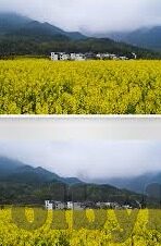 糖心vlog最火的是谁-糖心Vlog，解锁流量密匙——探寻最火创作者的身影