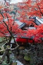 亚洲av日韩av天堂-探索亚洲与日韩AV文化的独特魅力
