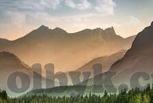 中文字幕va一区二区三区-探索中文字幕的多元化分布，一区、二区、三区的独特魅力
